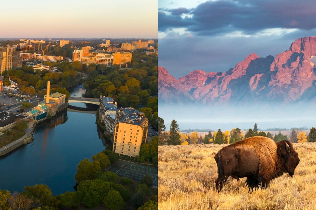 Wyoming vs Delaware LLC Formation